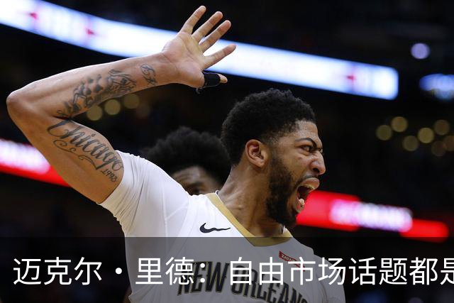 迈克尔·里德：自由市场话题都是关于勒布朗的 多关注一下老将吧