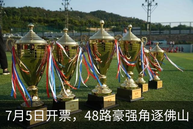 7月5日开票，48路豪强角逐佛山“西甲”足球联赛
